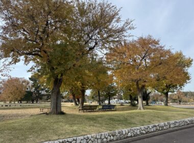 吹田万博公園の紅葉と井戸工事