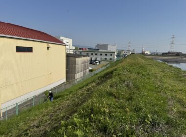 除草作業と５５年前の自社施工の仕事