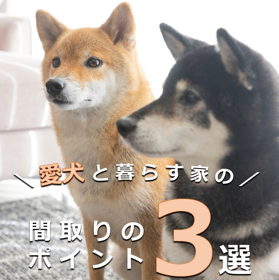 に投稿した画像