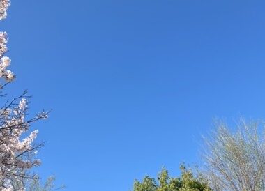 気づけば新年度